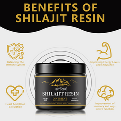 Pure Himalayan Shilajit Resin – Natural Energy, Stamina & Immunity Booster (30g)